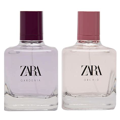 zara perfumes online south africa